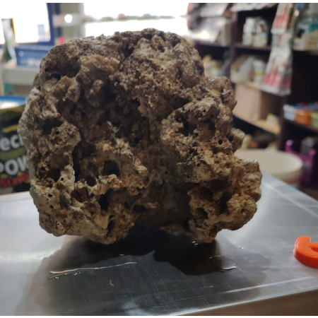 Żywa skała do akwarium morskiego - bryła nr. 60